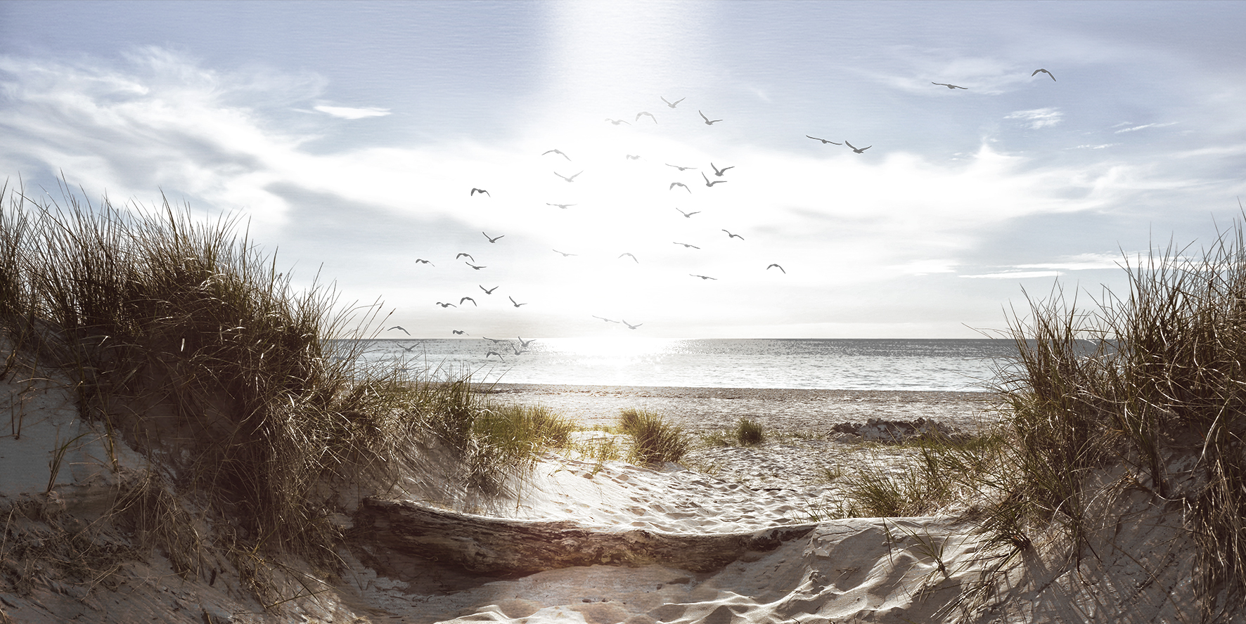 ProArt Alu-Art 200x120cm Sunset On The Coast II