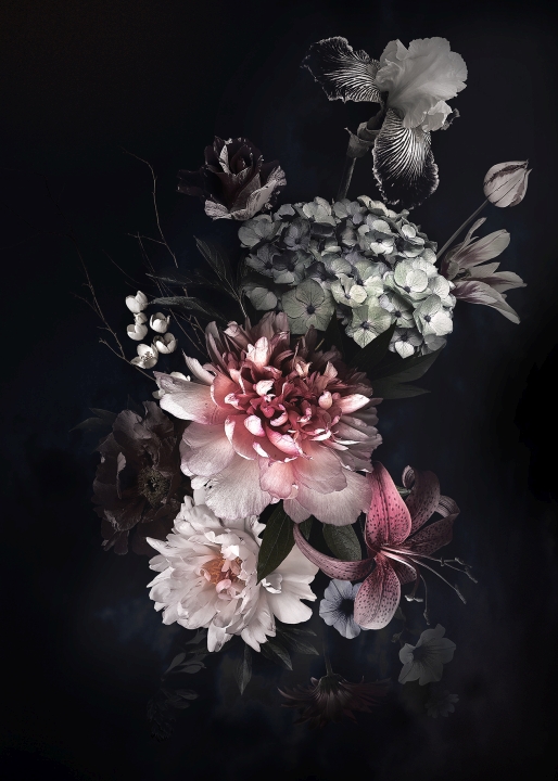 ProArt Alu-Art 70x100cm Baroque Roses II ProArt Alu-Art 70x100cm Baroque Roses II