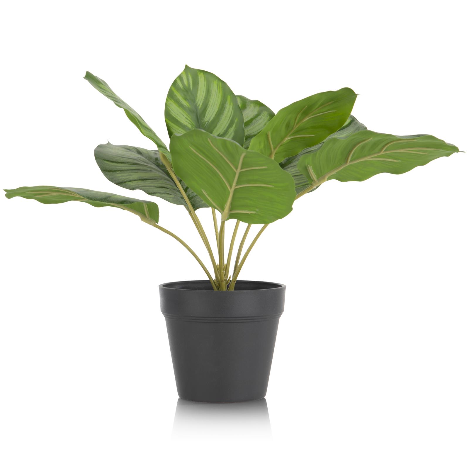 Coco Maison Kunstpflanze ca. H45 cm in Calathea Orbifolia