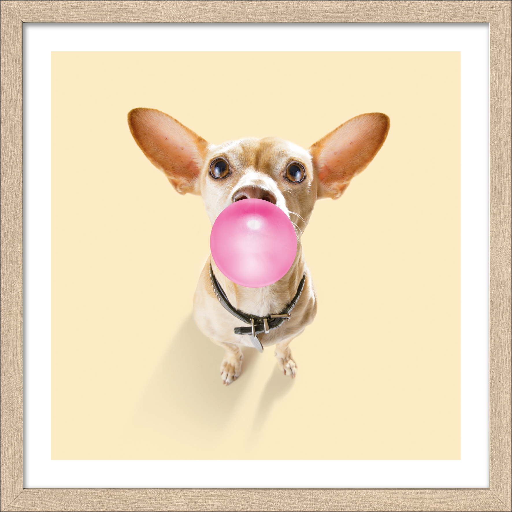 PRO ART Framed-Art Slim Scandic 33x33cm Dogs Chewing Gum I