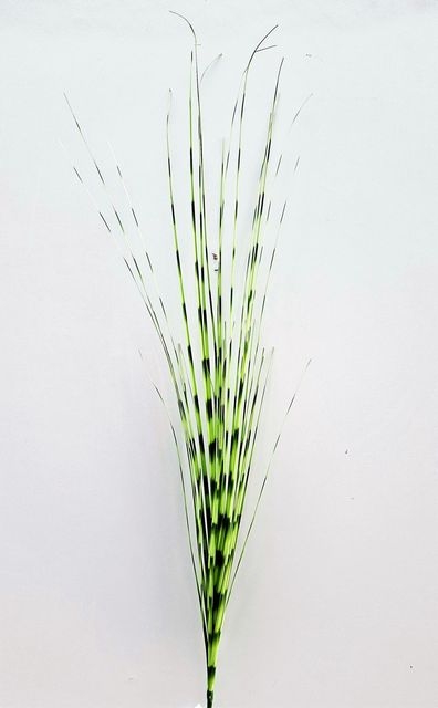Andreas Graszweig camouglage 100cm 4565803F4 in grün-gelb // Graszweig camouflage // grün-gelb // Höhe ca. 100 cm