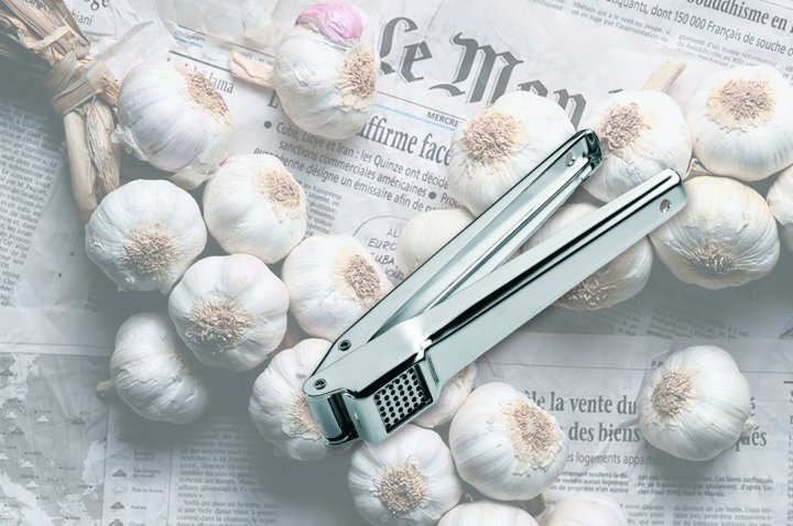 GEFU Knoblauchpresse Aglio in silber
