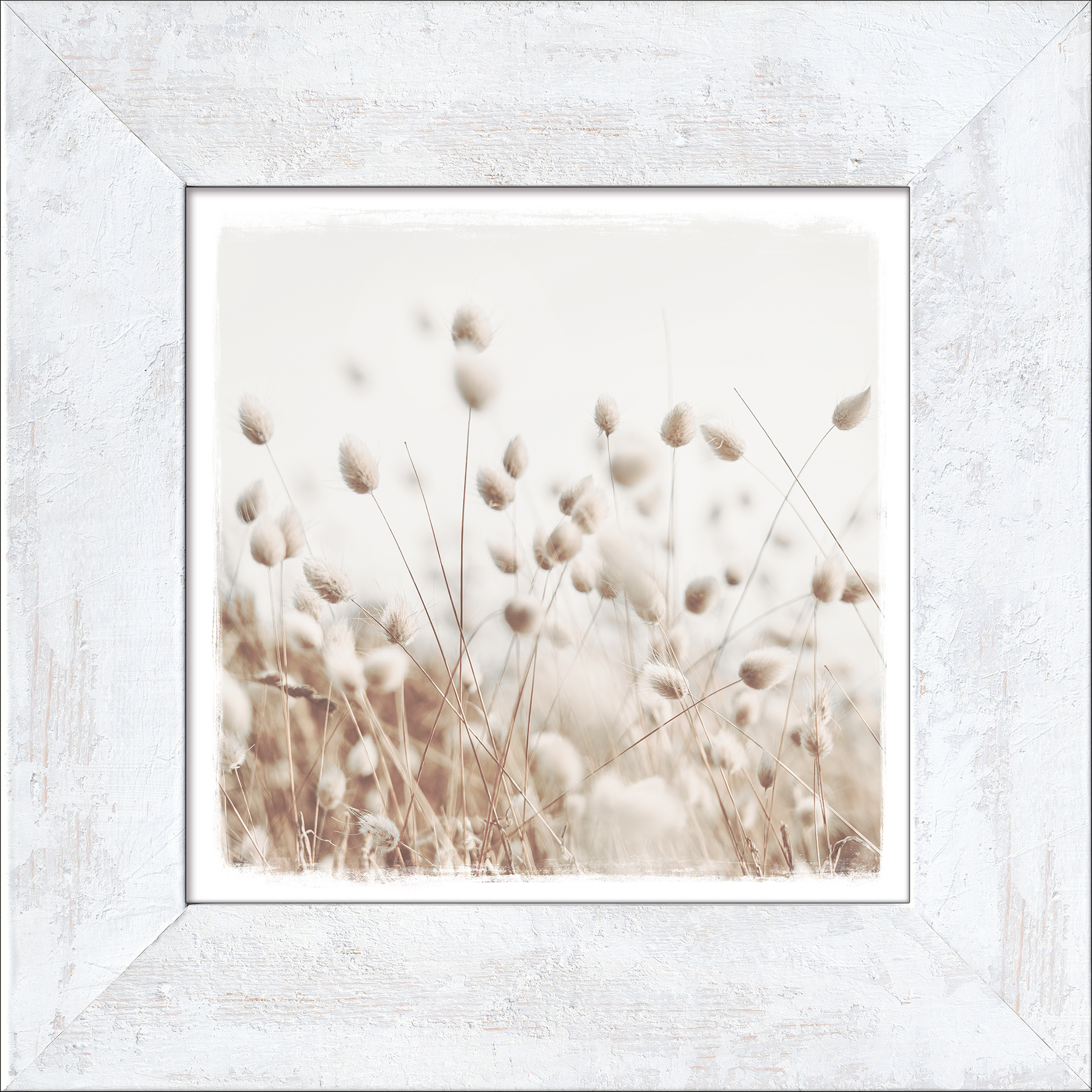 ProArt New Classic Wood 44x44cm Dried fiber in the wind II