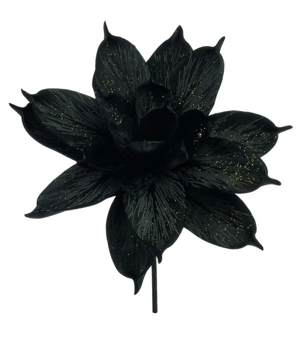 Soft Flower 'Magnolienblüte' 7581998F2 in 28cm, schwarz