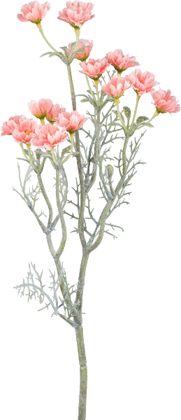 Mageritenzweig 55cm pfirsich in , Blumen, Trockenblumen, Kunstpflanze, Pink, Stielpflanze