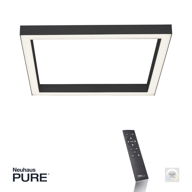 Paul Neuhaus LED-Deckenleuchte Pure-Lines in Anthrazit