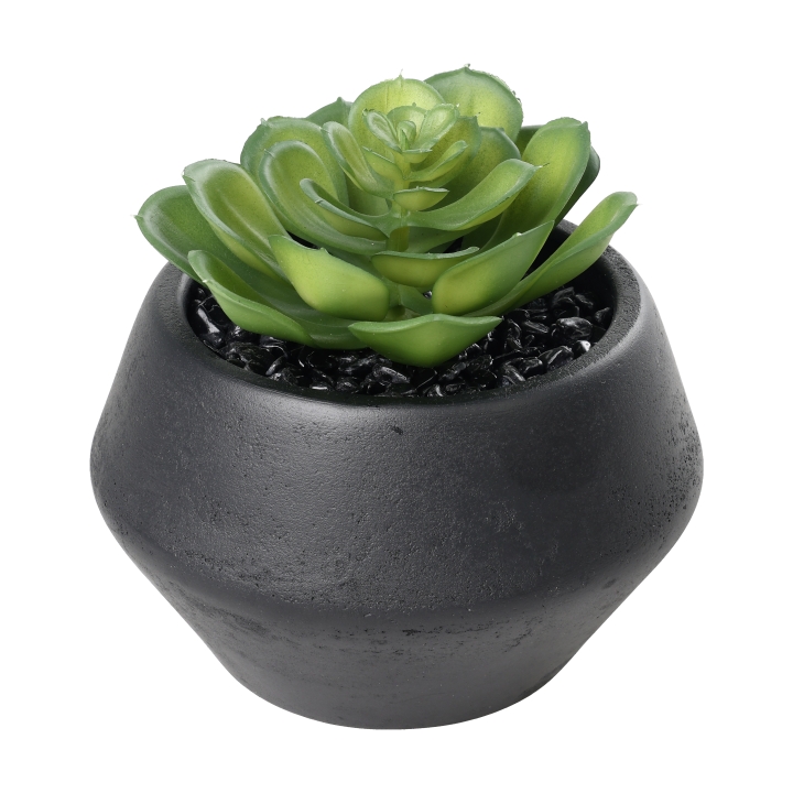 Eglo Living Kunstpflanze Sukkulente YULARA in Fb. grün, schwarz, Pflanze, Pflanze im Topf, Krug, Pflanzgefäß, Töpferei