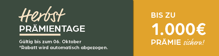 Action-Banner