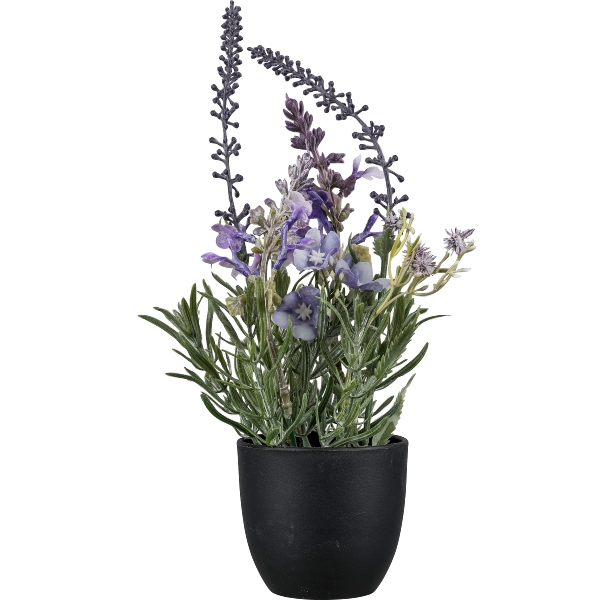 Gasper Blütentöpfchen Mix, in Farbe Lila, Lavendel, Kübelpflanze, Korb/Topf, Blumen, Violette Blüten