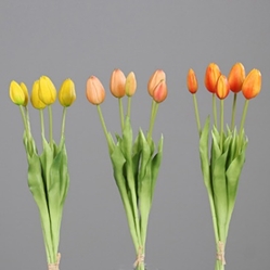 DPI Tulpen Bund in Farbe gelb-peach Kombination, Blume, Pflanze, Knospe, Blütenblatt, Tulpe