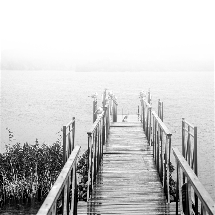 ProArt PRO ART Giclee 100x100cm Out of the Water VI