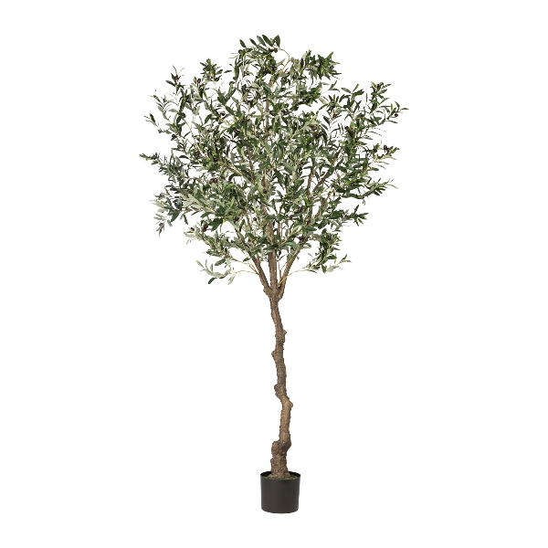 Olivenbaum 3318451-50 in Grün, Künstlicher Baum, Olive, Kübelpflanze, Kunstbaum, Grünpflanze