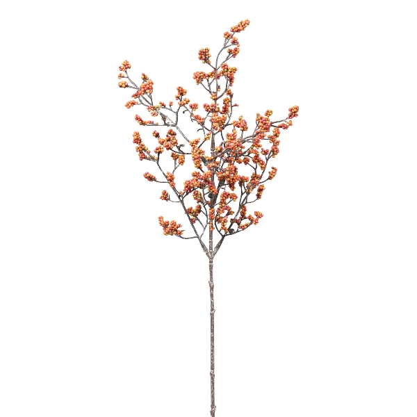 Gasper Beerenzweig 1/Poly in Farbe Orange, Pflanze, Blume, Kunst, Blatt, Baum
