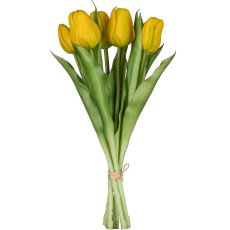 Gasper Tulpenbund x6 in Farbe Gelb, Blume, Blumen-Arrangement, Blumenstrauß, Glas, Tulpe