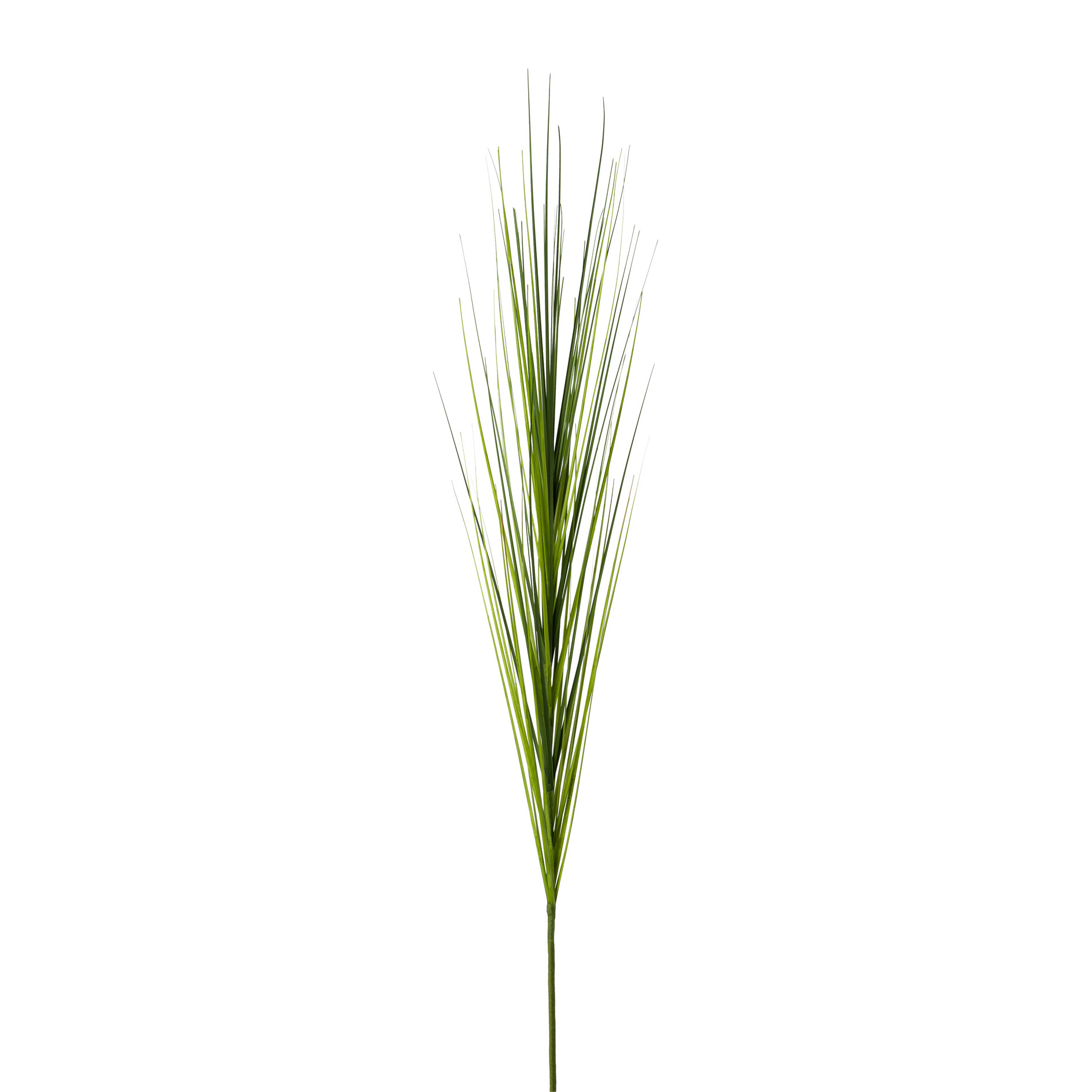 Isolepsis 115cm VADA in Grün Gasper Isolepsis VADA in grün-mix