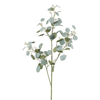Gasper Eucalyptuszweig in Farbe Grau