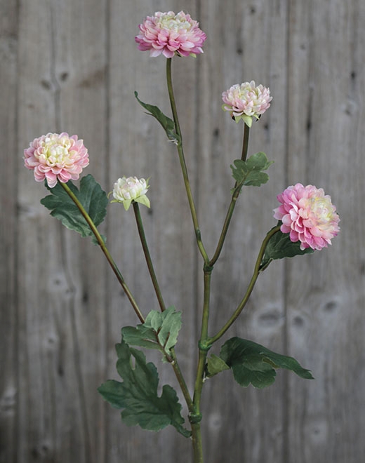 Chrysantheme,5-f,68cm 3199508A3 in rosa-grün