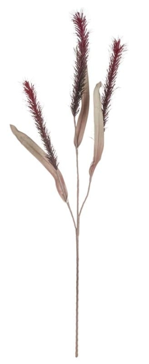  // Liriope // trendy purple // Höhe ca. 118 cm