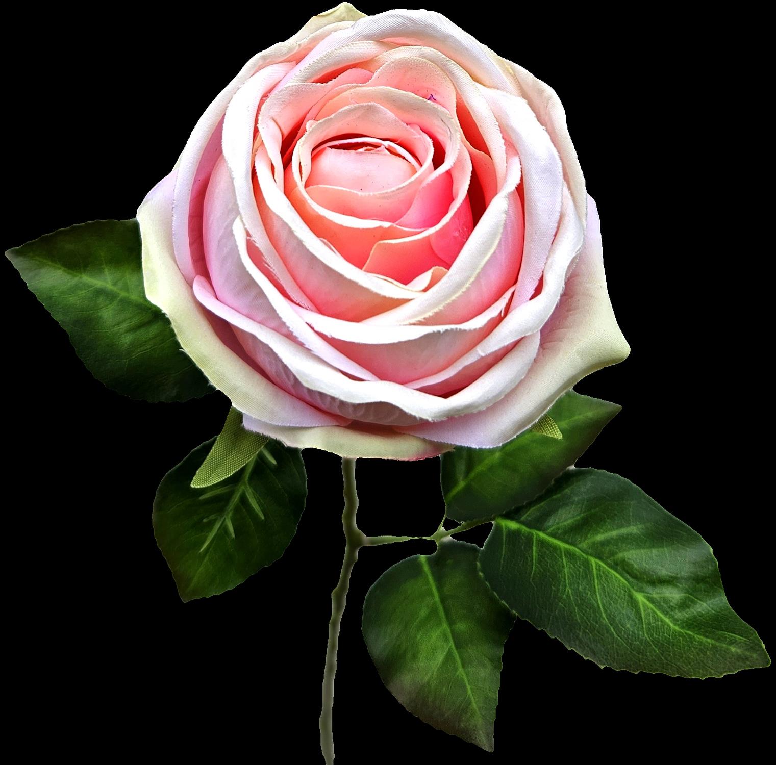 Andreas Englische Rose,66cm KUNSTBLUME in pink Andreas Englische Rose,66cm KUNSTBLUME in pink