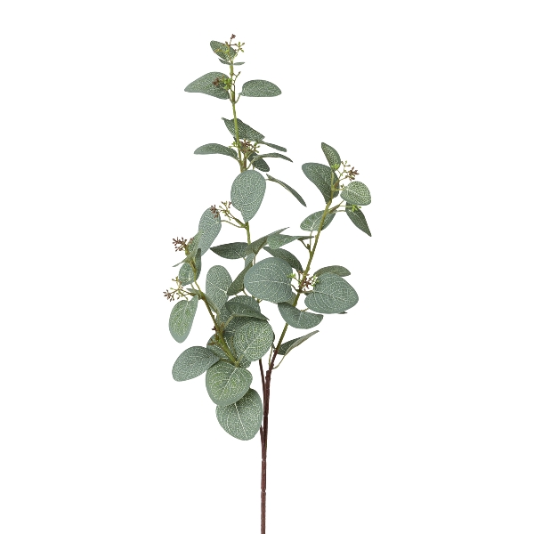 Gasper Eukalypthuszweigx3,H72cm ca.H72cm in grün