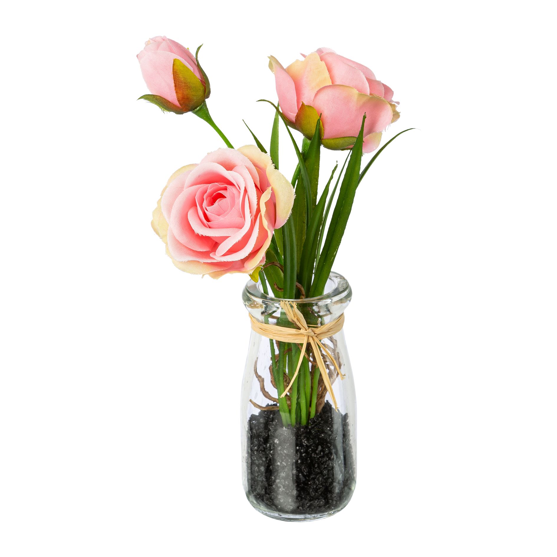 Gasper Rosen in Glasvase in Farbe Rosa